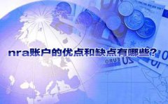nra賬戶的優(yōu)點(diǎn)和缺點(diǎn)有哪些？