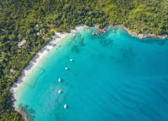 注冊塞舌公司類型及優(yōu)勢有哪些？