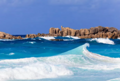 塞舌爾公司逾期年審有什么后果？