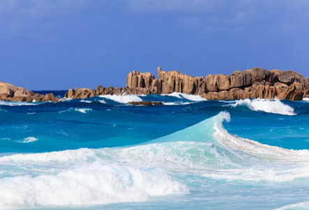 塞舌爾公司逾期年審有什么后果？