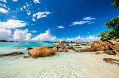 塞舌爾公司注冊全攻略：關(guān)鍵要點與注意事項