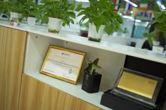 巴西注冊公司哪種公司類型適合外資企業(yè)