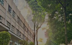 柬埔寨開工廠，難度究竟藏在哪?