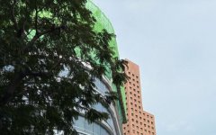 馬來西亞擔任公司董事的條件全解析