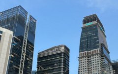 新西蘭公司注冊(cè)對(duì)股東資格要求全面解析