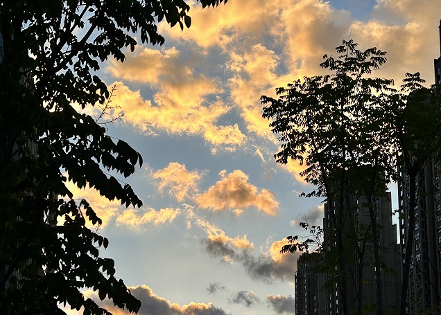 澳大利亞公司注冊申請?zhí)峤缓?，信息還能修改嗎?